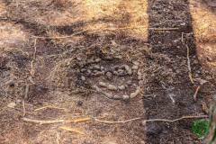 11811468_636065876531045_4251335925585824507_n_636065876531045