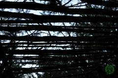 11822364_636066779864288_1332298787176173585_n_636066779864288