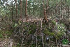 11822470_636066709864295_7050015577678342729_n_636066709864295