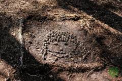 11822719_636065976531035_1185929545405877303_n_636065976531035