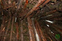 11822842_636066409864325_8297348546816951195_n_636066409864325