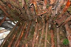 11825744_636066383197661_1317511715379446621_n_636066383197661