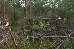 11825744_636066666530966_2004869320166343988_n_636066666530966