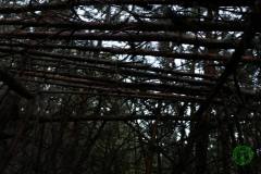 11826049_636066793197620_8811270833338397948_n_636066793197620