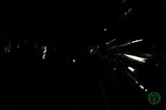 11855618_636066403197659_5574130671499715888_n_636066403197659