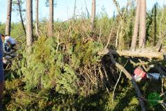 11855697_636066243197675_5369583055735057137_n_636066243197675