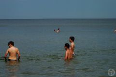 13568865_775397239264574_5829420634051929262_o_775397239264574