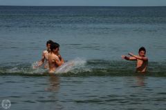 13568982_775397919264506_2522091407337065572_o_775397919264506