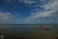 13575988_775397705931194_8488561992068123066_o_775397705931194