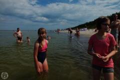 13584837_775398195931145_4316914343846067749_o_775398195931145