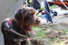 10604445_494164580721176_9001273409101262212_o_494164580721176