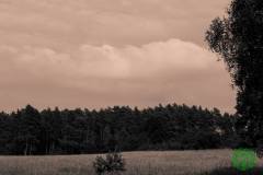 10506721_472254159578885_1064537676397335894_o_472254159578885