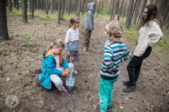 66463707_1494016144069343_7330169432238456832_o_1494016137402677