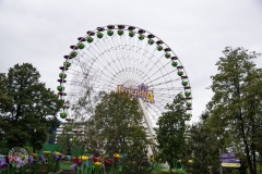 67433753_1499186410218983_2594378843439497216_o_1499186403552317