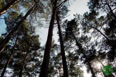 10371988_513280712142896_8551290300689286421_n_513280712142896