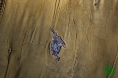 10405614_513280338809600_9151887374735864779_n_513280338809600