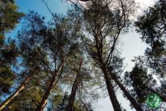 10452300_513280662142901_4513844508137830872_n_513280662142901