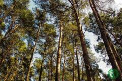 10574469_513280725476228_6929155195004720103_n_513280725476228