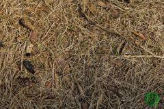 10615387_513280475476253_5812975504561054597_n_513280475476253