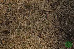 10628210_513280445476256_4283485965506544626_n_513280445476256