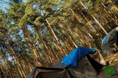 10659319_513280488809585_6898800551445790569_n_513280488809585