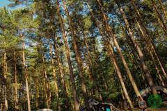 10711039_513280528809581_9049340813391292247_n_513280528809581