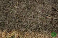 1374343_513280422142925_1114959853855636256_n_513280422142925