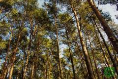 1743512_513280625476238_4456197670449428334_n_513280625476238