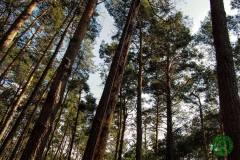 1798003_513280565476244_8694259061751125085_n_513280565476244