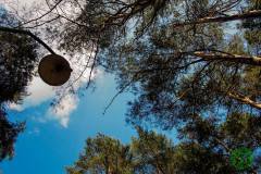 1932416_513280635476237_4373878351352620683_n_513280635476237