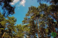 532894_513280752142892_2726394786951758902_n_513280752142892