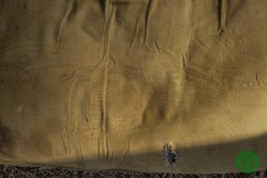 63714_513280392142928_4317043502074284889_n_513280392142928