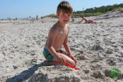 11800242_636387929832173_2282358124366360876_n_636387929832173