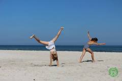 11800556_636387779832188_7422789929738404226_n_636387779832188