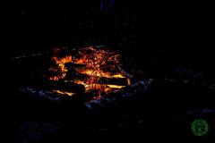 11825200_635716536565979_4958104619683985895_n_635716536565979