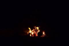 1073252_305322016272101_1732770481_o_305322016272101