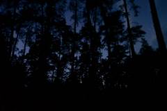 1093818_305321799605456_651260543_o_305321799605456