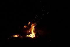 1093997_305321809605455_531742799_o_305321809605455