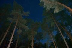 77473_305321909605445_1435437445_o_305321909605445