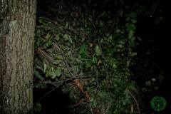 10479097_482505955220372_2541070228416038167_o_482505955220372