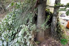 10486388_482506381886996_1364165136271046099_o_482506381886996