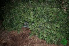 10495305_482505851887049_3118708684350383672_o_482505851887049