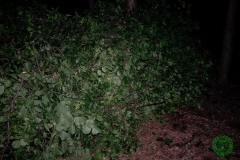 10548699_482505878553713_3378089401999859451_o_482505878553713