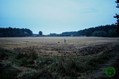 10549990_482505991887035_1227640361864048890_o_482505991887035