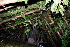 10551496_482506108553690_8777189718690675582_o_482506108553690