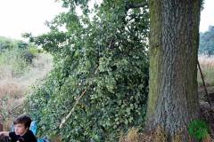 10557688_482506271887007_862500393321277408_o_482506271887007