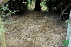 10571945_482506301887004_1720377378473229462_o_482506301887004