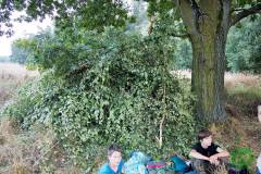 10623451_482506291887005_8234867168208447593_o_482506291887005