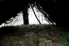 10649055_482506115220356_8691244250794251740_o_482506115220356