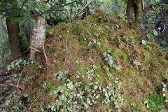 10679836_482506418553659_1747952654133586958_o_482506418553659